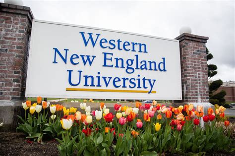 western new england university acceptance